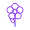 Цветники и цветочные культуры logo