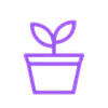 Комнатные растения logo