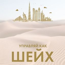 Управляй как шейх. Уроки лидерства от правителя Дубая logo