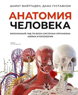 Анатомия человека. Визуальный гид по всем системам организма logo