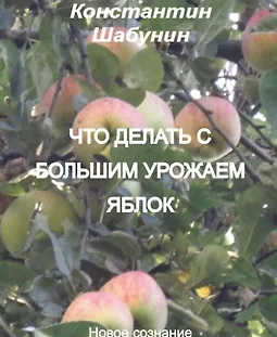 Что делать с большим урожаем яблок? logo