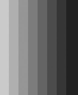 Хрома. Книга о цвете logo