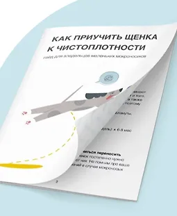 Как приучить щенка к чистоплотности logo