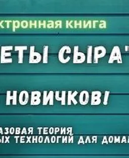 Секреты сыра для новичков logo