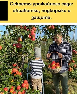  Секреты урожайного сада: обработки, подкормки и защита logo