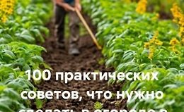 100 практических советов, что нужно сделать в огороде в начале весны logo