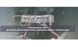 7 фасциальных депо: детальное рассмотрение связи приводящих мышц с тазовым дном logo