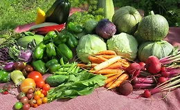 7 шагов к богатому урожаю