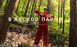 8 Кусков Парчи