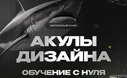 Акулы дизайна, обучение с нуля