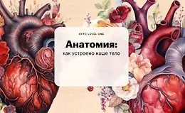 Анатомия: как устроено наше тело