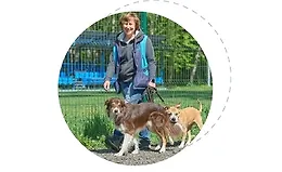 Базовая подготовка к воспитанию и дрессировке собаки