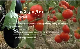 Базовый курс Дачный агроном