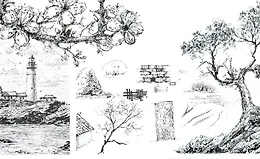 Базовый курс графики. Основы