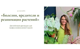 Болезни, вредители и реанимация растений