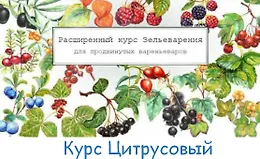 Большой Цитрусовый курс
