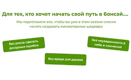 Бонсай своими руками 