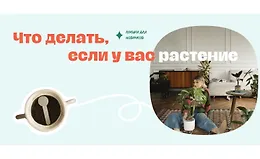 Что делать если у вас растение?