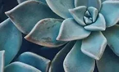 Давление – ты как? или ВСДшники поймут...