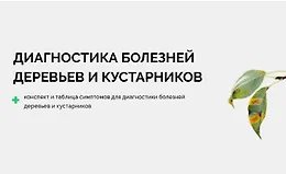 Диагностика болезней деревьев и кустарников