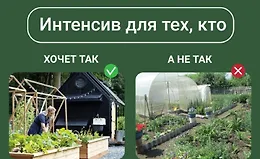 Дизайн современного огорода