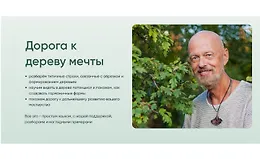 Дорога к дереву мечты