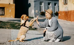 Дрессировка с любовью