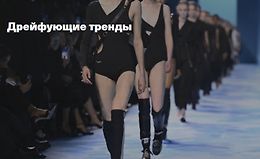 Дрейфующие тренды logo