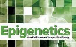 Эпигенетика: как окружающая среда меняет вашу биологию
