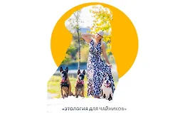 Этология для чайников