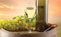 Руководство по винам Калифорнии на каждый день