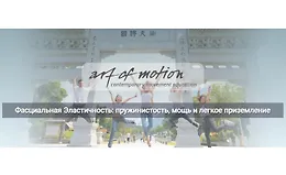 Фасциальная Эластичность: пружинистость, мощь и легкое приземление