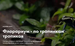 Флорариум - по тропинкам тропиков