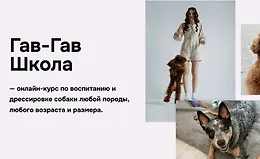 Гав-гав школа 9.0