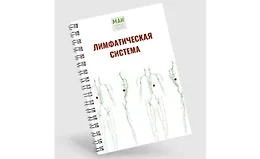 Гайд по работе с лимфой