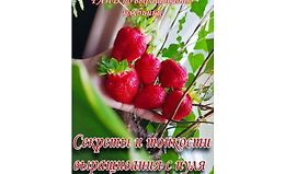 Гайд по выращиванию клубники logo