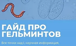 Гайд про гельминтов 