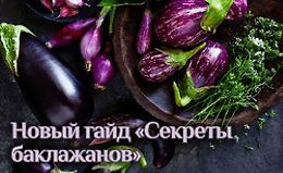 Гайд «Секреты баклажанов» logo