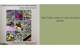 Гайд Томаты дома. От семян до сбора урожа