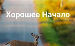 Хорошее начало
