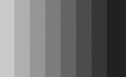 Хрома. Книга о цвете logo