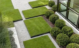 Идеальный газон своими руками: пошаговое руководство