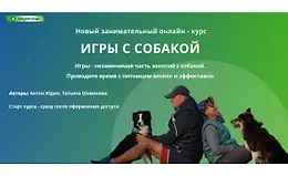 Игры с собакой