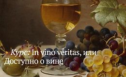 In vino veritas, или Доступно о вине logo