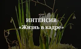 Интенсив Жизнь в кадре