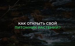 Как открыть свой питомник растений?  logo