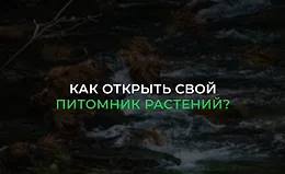 Как открыть свой питомник растений? 