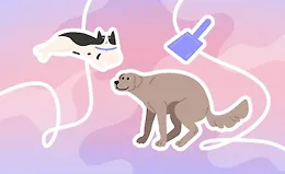 Как приучить питомца к туалету