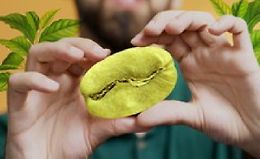 Как Разобраться в Кофе (ч.2) - Стань Экспертом за 4 часа! logo