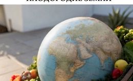 Как восстановить плодородие земли? logo
